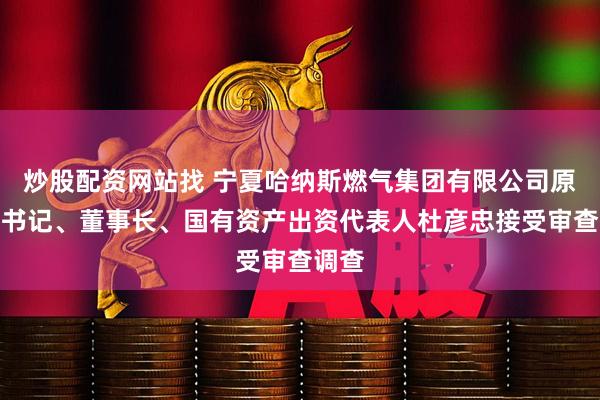 炒股配资网站找 宁夏哈纳斯燃气集团有限公司原党委书记、董事长、国有资产出资代表人杜彦忠接受审查调查